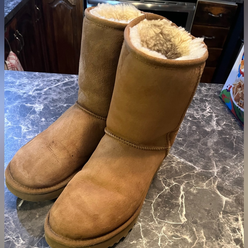 Chestnut Uggs